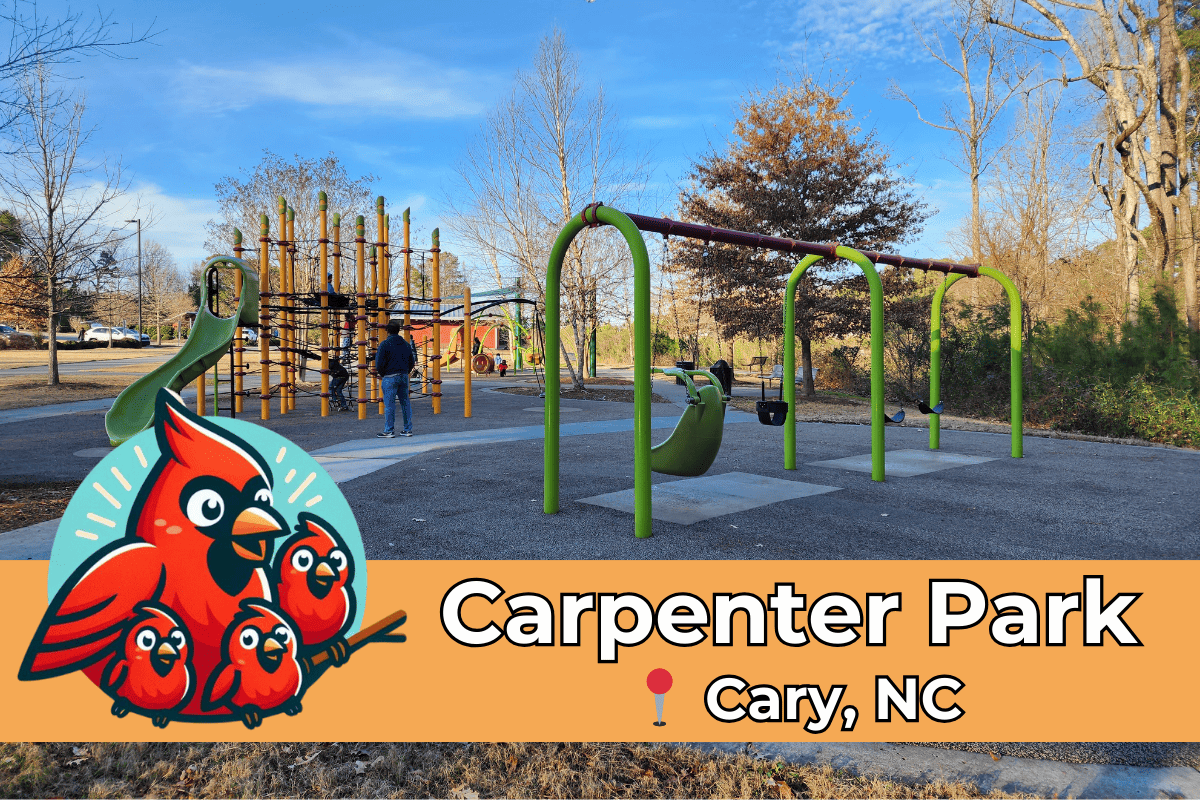 A vibrant playground with modern equipment under clear blue skies at Carpenter Park in Cary, NC. In the foreground, a whimsical illustration of three red cardinals accentuates the park's name displayed in bold lettering