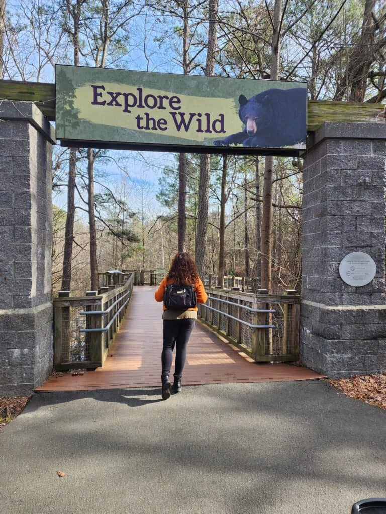 A visitor walks towards an 'Explore the Wild' sign over a wooden bridge, suggesting an interactive and educational activity among the things to do with family in Raleigh. The surrounding bare trees and clear skies offer a sense of adventure and exploration in a natural setting.