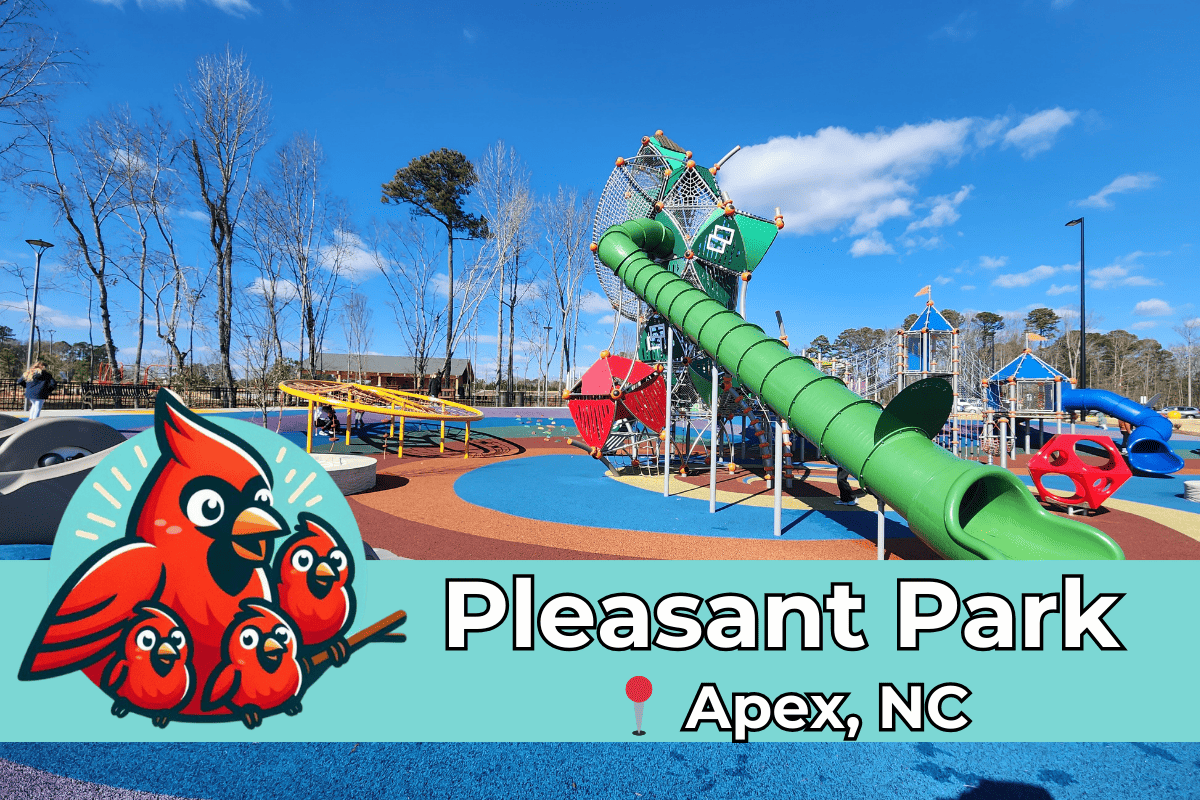 A vibrant children's playground at Pleasant Park in Apex, NC, featuring a large green tube slide, climbing nets, and multiple play structures against a clear blue sky. In the foreground, there are cartoon cardinal birds and text overlay that reads 'Pleasant Park Apex, NC' with a red location marker.