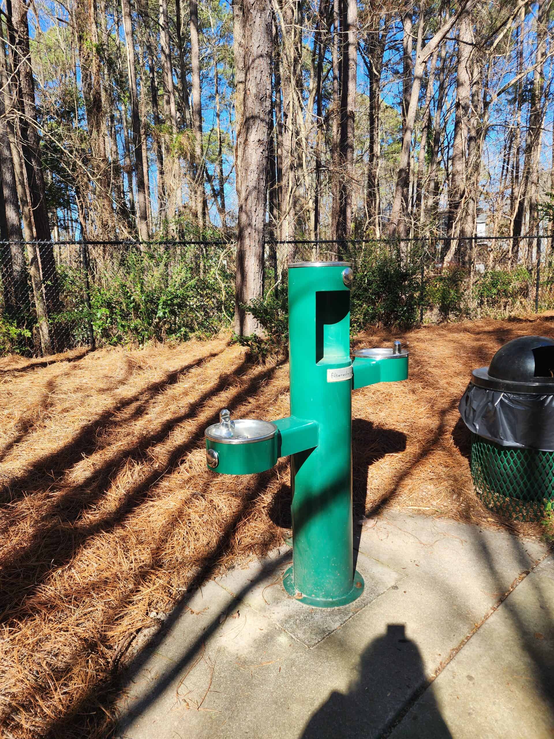 A green water fountain station, featuring an accessible option at a lower height, stands ready for park-goers in a Cary, North Carolina playground. Tall pine trees provide a natural backdrop to this convenient hydration point, with pine straw-covered ground and a nearby trash receptacle ensuring cleanliness and sustainability