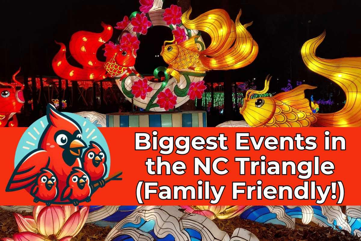 header image for family events in Raleigh, NC featuring a vibrant display of illuminated lanterns with a rooster and fish, and a cartoon family of red cardinals. Text overlay reads 'Biggest Events in the NC Triangle (Family Friendly!)' set against a vivid red background.