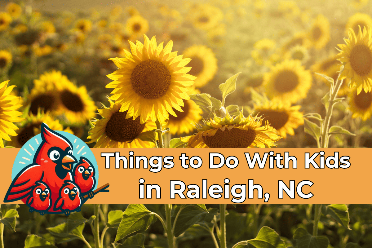 A vibrant field of sunflowers under a sunny sky with an illustrated family of red cardinals overlaying the image, alongside text 'Things to Do With Kids in Raleigh, NC' suggesting family-friendly activities in the area.