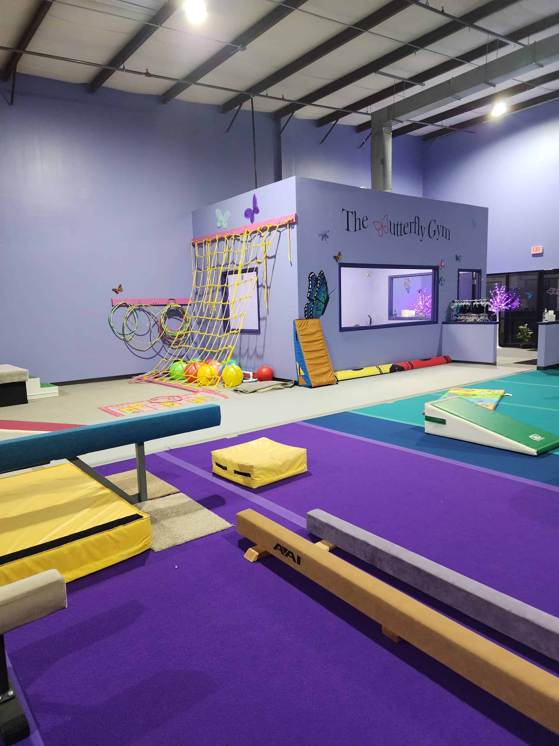 An inviting indoor children's play area named 'The Butterfly Gym' offers a variety of equipment for active play, including a climbing net, balance beams, and colorful mats, all designed to encourage physical development and fun.