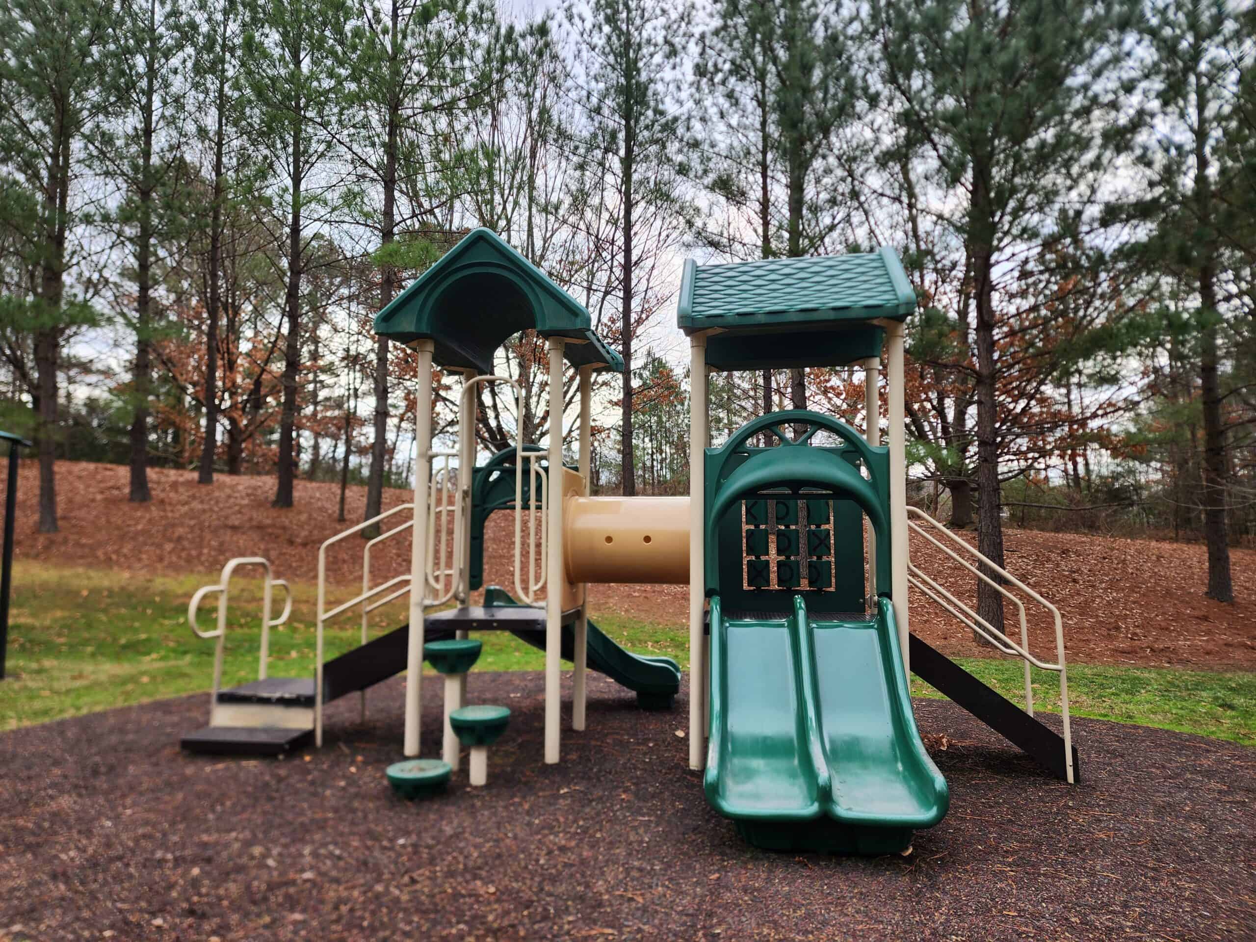 A playground featuring a dual green slide, stairs, and various platforms, nestled among tall pine trees on a grey day
