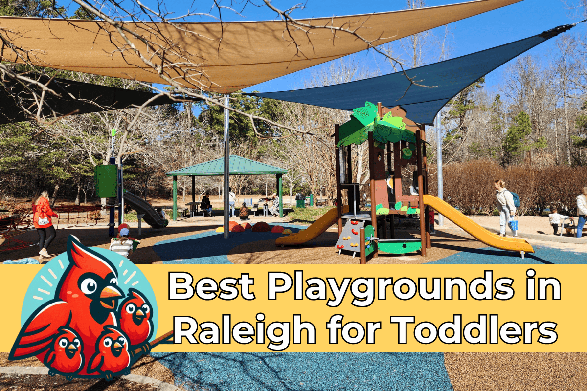 Informative banner featuring 'Best Playgrounds in Raleigh for Toddlers' with an image of children playing on a sunlit playground with protective canopies, alongside a cheerful cardinal mascot illustration, the Raleigh Family Adventure logo