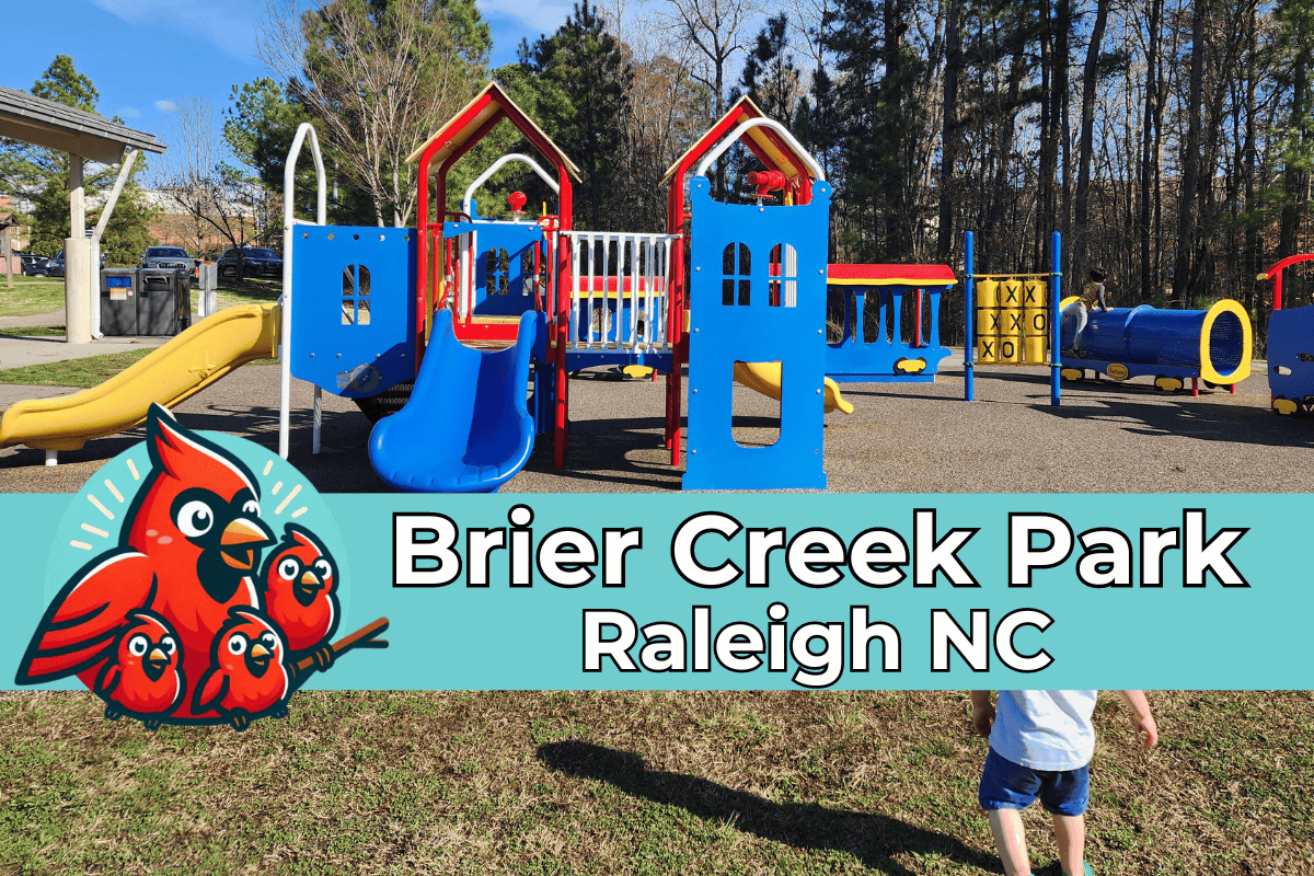 Brier Creek Park in Raleigh, NC, depicted on a sunny day with a colorful playground featuring blue and red structures, slides, and climbing areas. The logo of a cheerful red cardinal family adds a vibrant touch to the scene, emphasizing the family-friendly environment of the park.