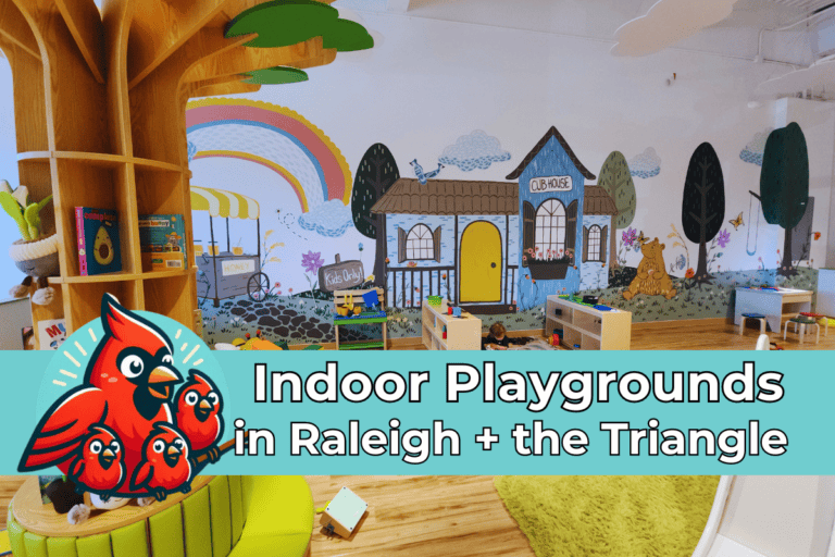 30+ Indoor Playgrounds in Raleigh NC & The Triangle Raleigh Family
