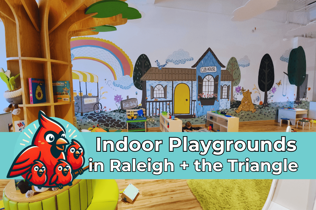 A vibrant indoor playground features a large mural with a rainbow, a honey stand, and a whimsical clubhouse labeled "Cub House." The area is filled with colorful toys and play stations, with a large tree-like bookshelf on the left displaying books and stuffed animals. Text on the image reads "Indoor Playgrounds in Raleigh + the Triangle" with an illustration of a cardinal and its chicks in the foreground.