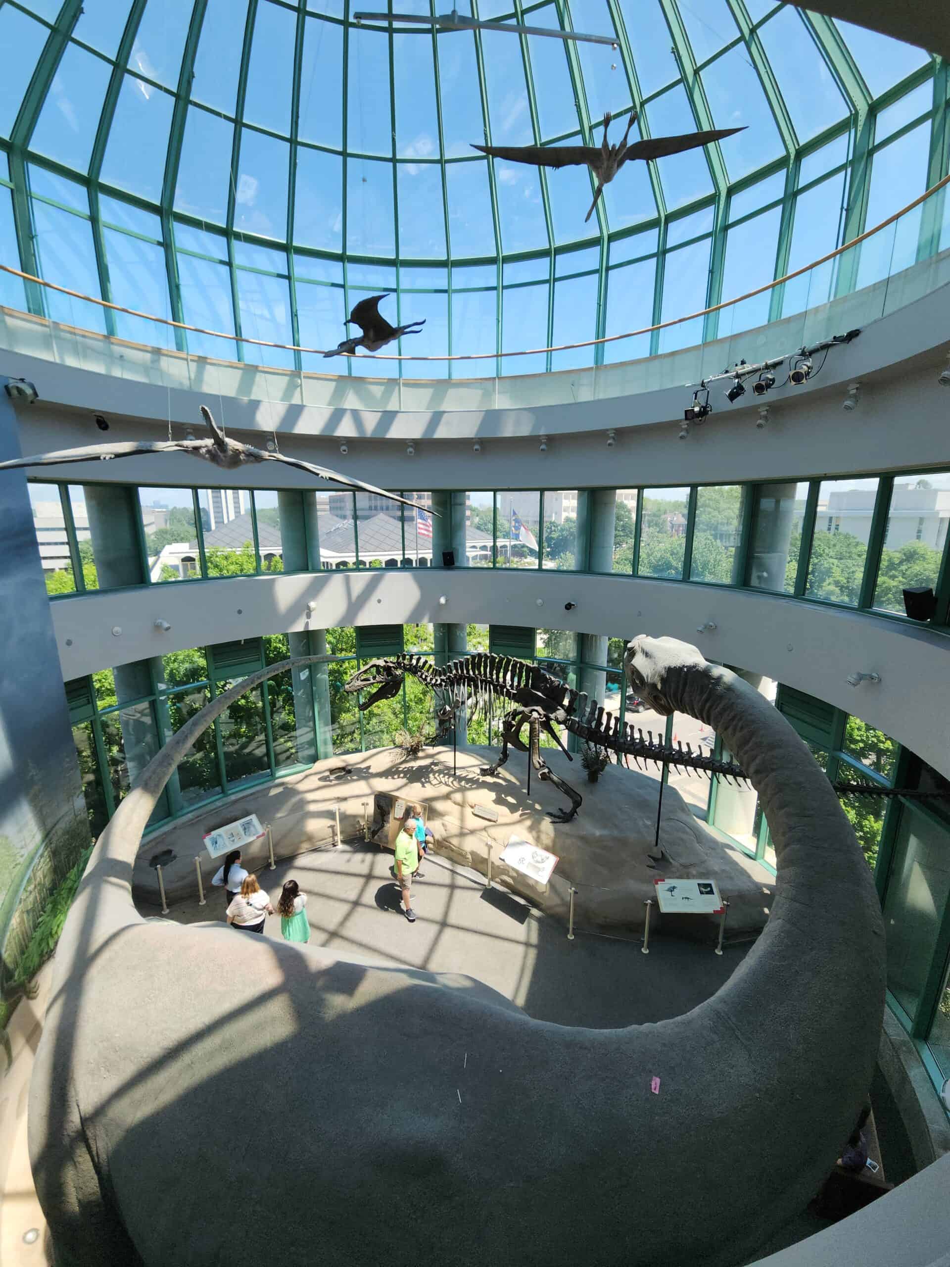 The image shows a large, open space inside a building with a glass dome ceiling. Suspended from the ceiling are models of flying dinosaurs, while below, a skeletal model of a large dinosaur is displayed on the ground level. Visitors are walking and observing the exhibit, with informational panels placed around the dinosaur skeleton. The glass dome allows natural light to fill the space, creating a bright and airy atmosphere.