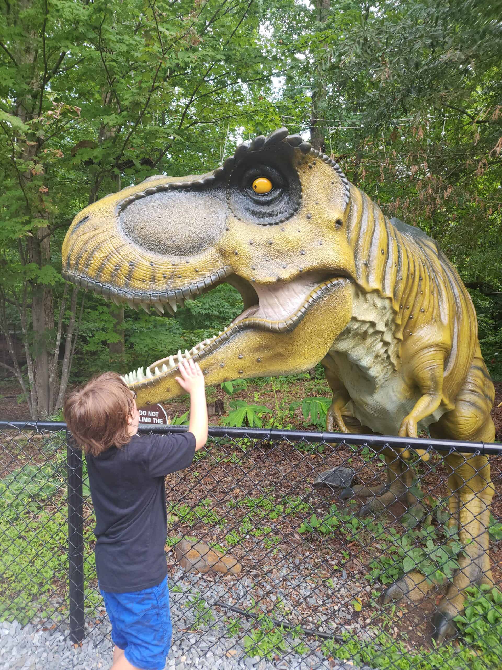 A young boy reaches up to touch the mouth of a large, realistic dinosaur statue in an outdoor exhibit at the Greensboro Science Center. The statue is behind a black chain-link fence and surrounded by lush greenery.