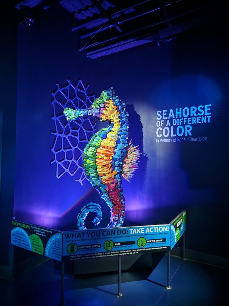 A colorful seahorse sculpture made from recycled materials displayed in a dimly lit exhibit at the Greensboro Science Center. The display, titled "Seahorse of a Different Color" in memory of Ronald Beardslee, features informational signs encouraging actions to reduce plastic waste, such as swapping bottles, bringing your own bags, and skipping straws.