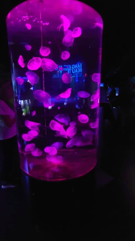 
A large cylindrical tank filled with glowing pink jellyfish illuminated by vibrant neon lights. The tank stands in a dark room, enhancing the striking contrast and ethereal appearance of the jellyfish as they float gracefully.