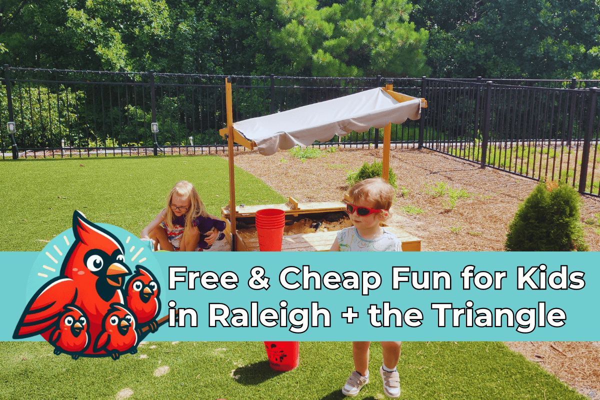 Two children enjoying a sunny day at a playground in Raleigh. One child is playing in a sandbox under a shaded canopy, while another stands nearby wearing red sunglasses. Text overlay reads, "Free & Cheap Fun for Kids in Raleigh + the Triangle," with a cartoon family of cardinals.