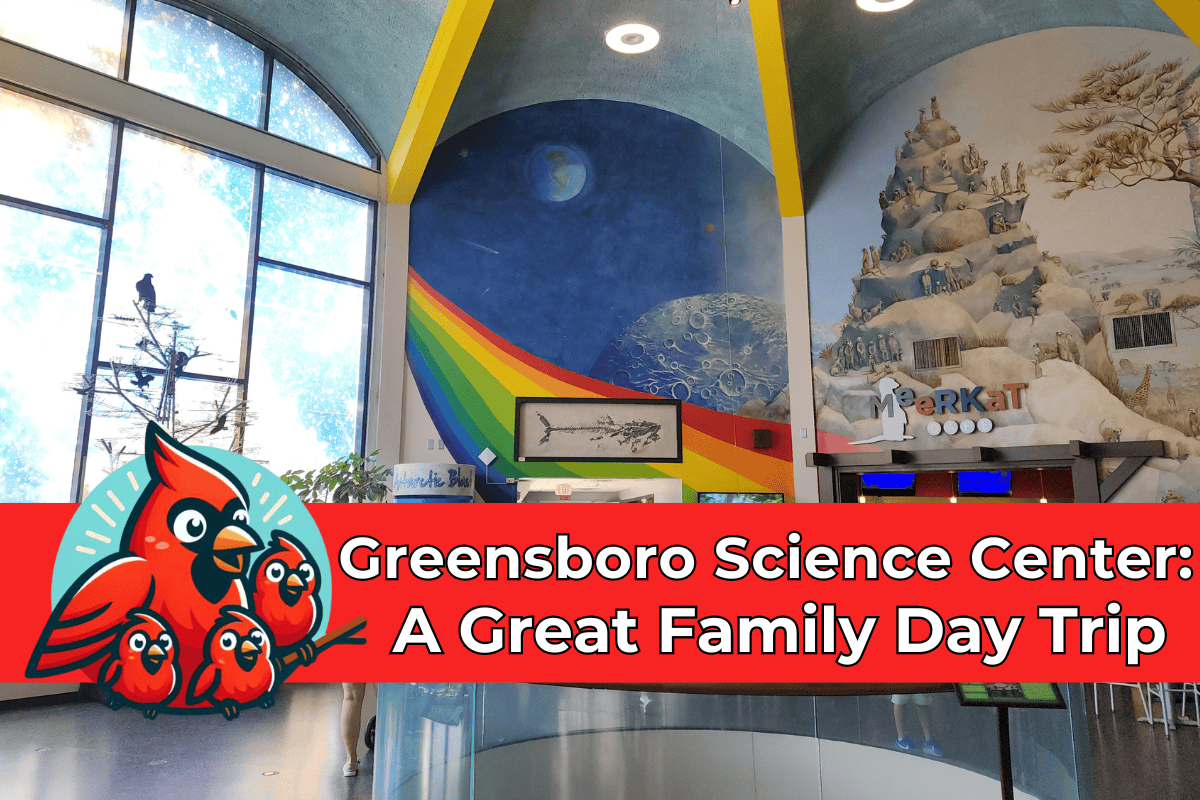 Visitors explore a vibrant indoor area at the Greensboro Science Center, featuring a large mural of a rainbow, space, and animal scenes. The room has high, yellow-beamed ceilings and displays