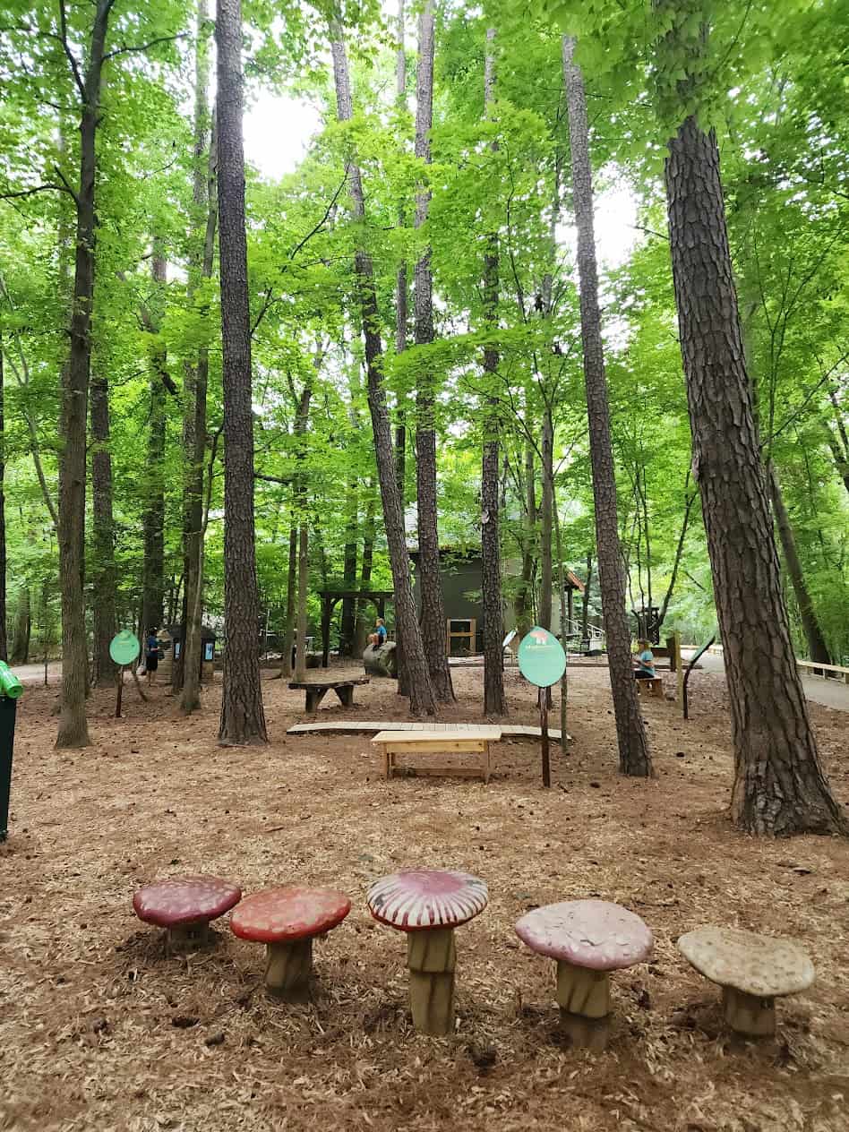 A serene outdoor area is set within a dense forest, featuring tall trees with lush green leaves. The ground is covered in pine needles, and there are several decorative mushroom-shaped stools arranged in a row. In the background, there are signs with information, a few benches, and a small wooden structure that appears to be part of a nature-themed play area or educational space. The atmosphere is peaceful, with natural light filtering through the trees.