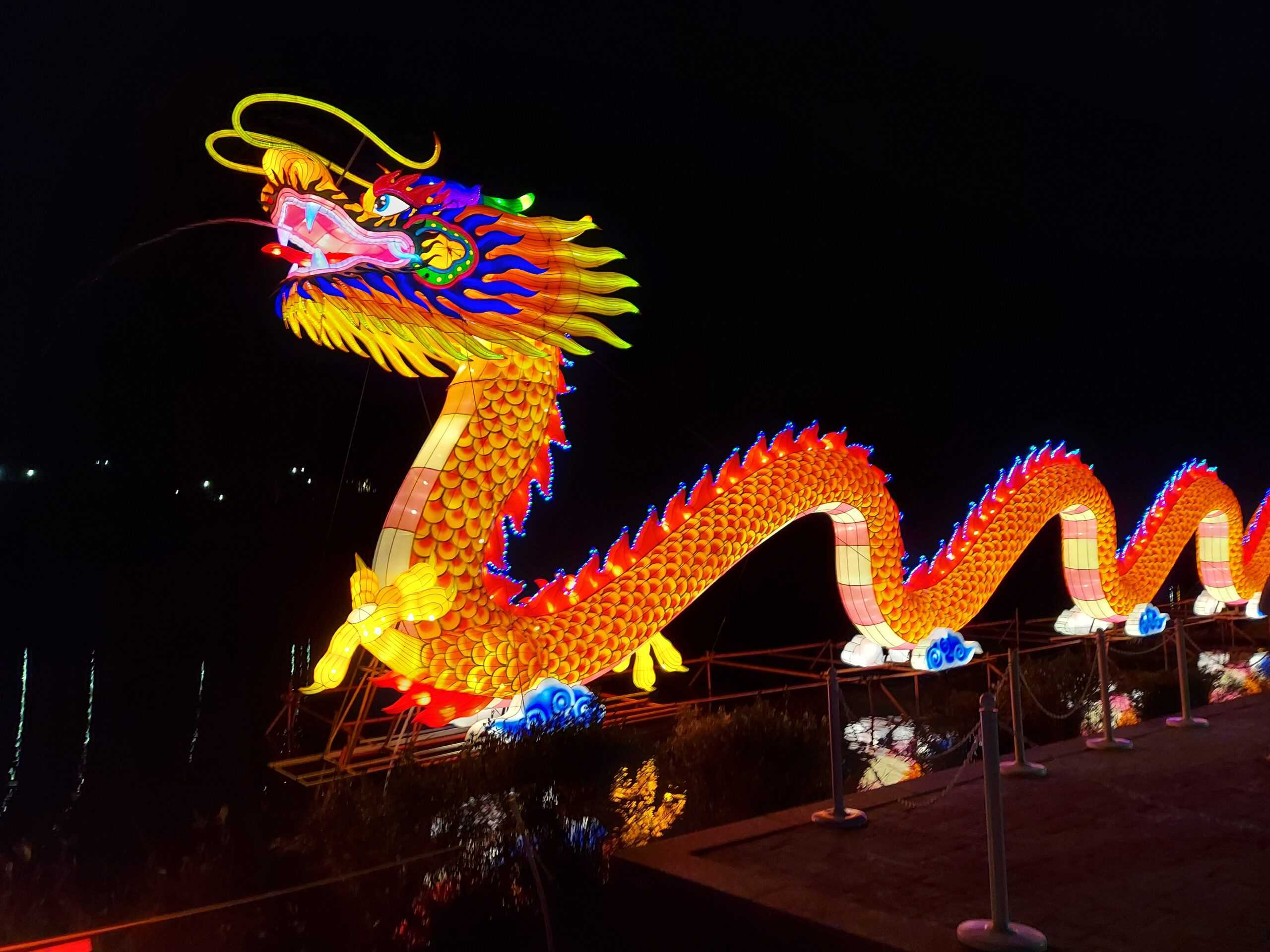 This image features a large, illuminated dragon sculpture glowing vibrantly against a dark night sky. The dragon's body is adorned with colorful scales, transitioning from fiery red to yellow, with blue accents along its spines. Its serpentine form stretches across the scene, evoking the elegance of traditional Chinese lantern festivals.