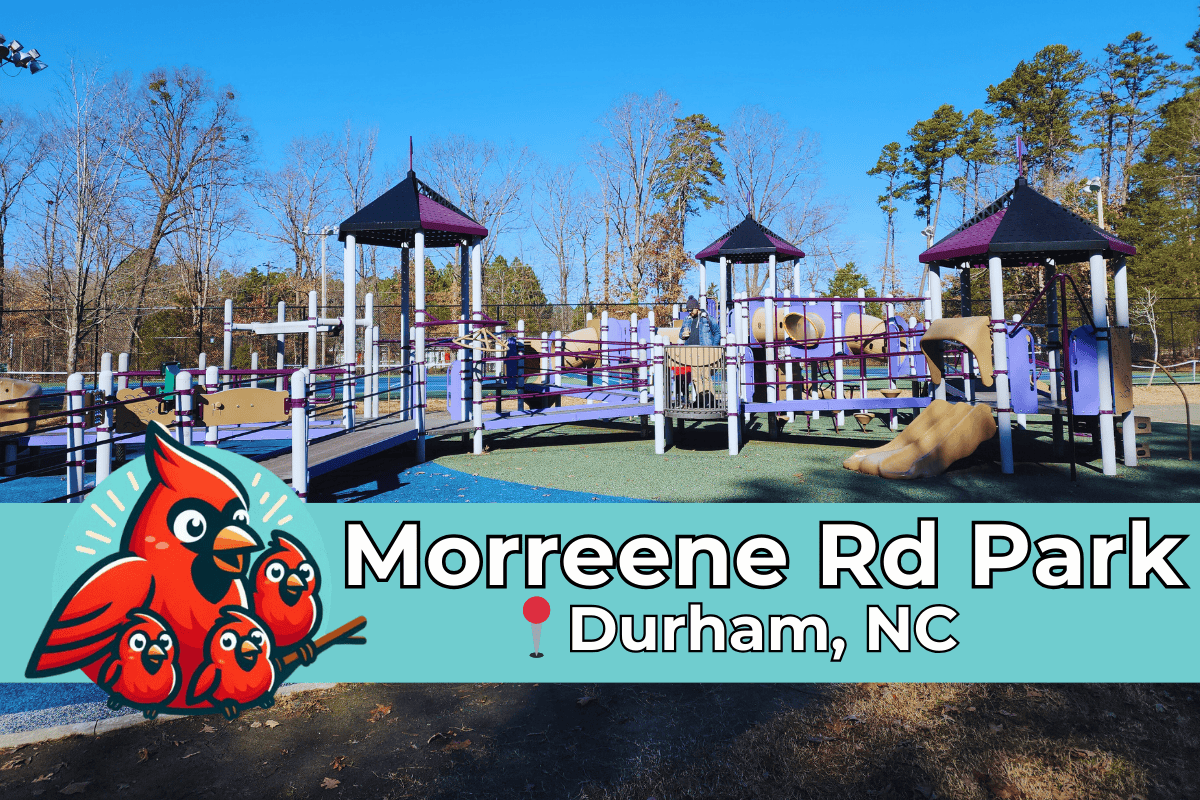 This image features the playground at Morreene Rd Park in Durham, NC, on a bright sunny day. The playground equipment includes ramps, slides, and towers in purple and beige tones, surrounded by trees and a rubberized play surface. In the foreground, there is a graphic of red cartoon cardinals and text that reads “Morreene Rd Park, Durham, NC.”