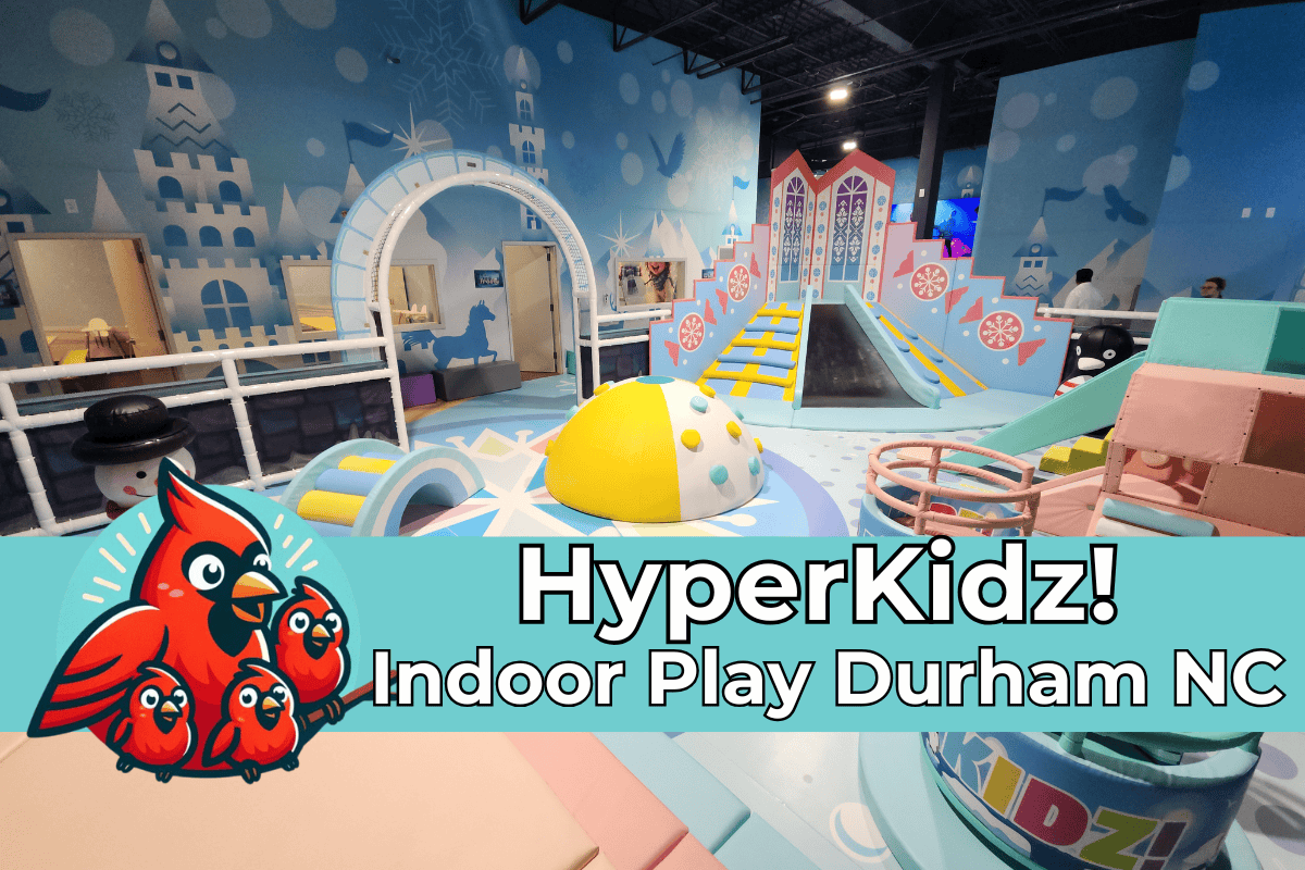 A colorful indoor playground at HyperKidz in Durham, NC, featuring a winter-themed play area with icy castle decor, soft climbing structures, slides, and tunnels. The scene is vibrant with pastel play equipment, snowflake motifs, and a cheerful red cardinal logo with cartoon birds next to bold text reading “HyperKidz! Indoor Play Durham NC.