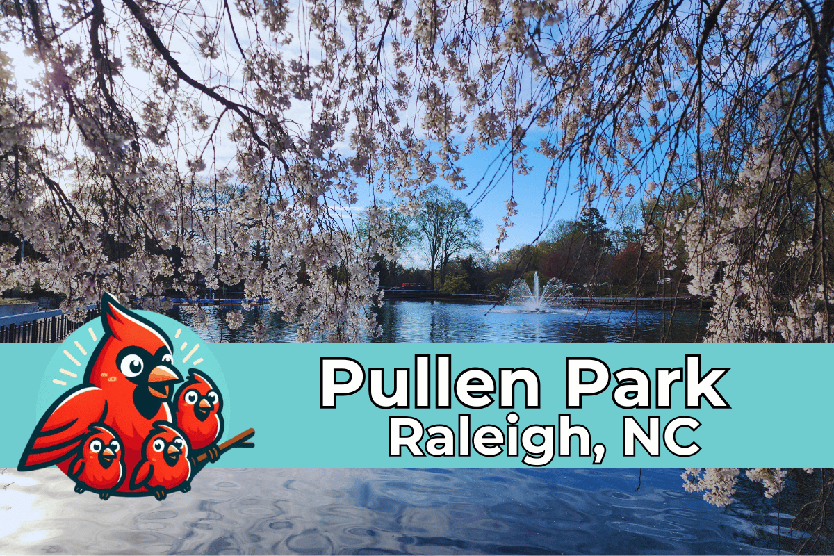 Cherry blossoms frame a peaceful lake with a fountain at Pullen Park in Raleigh, North Carolina, under a clear blue sky. A cheerful cartoon cardinal family is illustrated in the lower left corner next to bold text that reads "Pullen Park, Raleigh, NC."