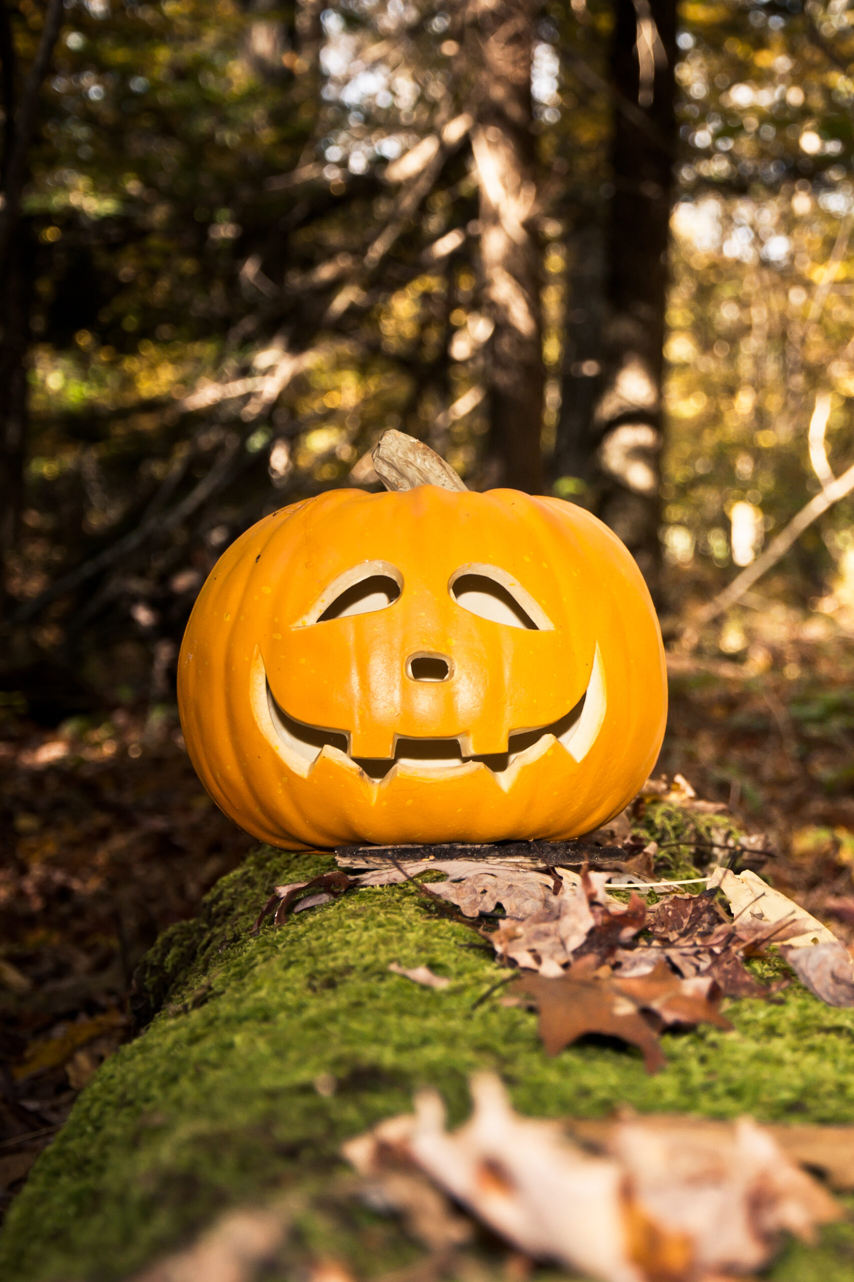 Toddler Tuesday: Pumpkin Paint Party