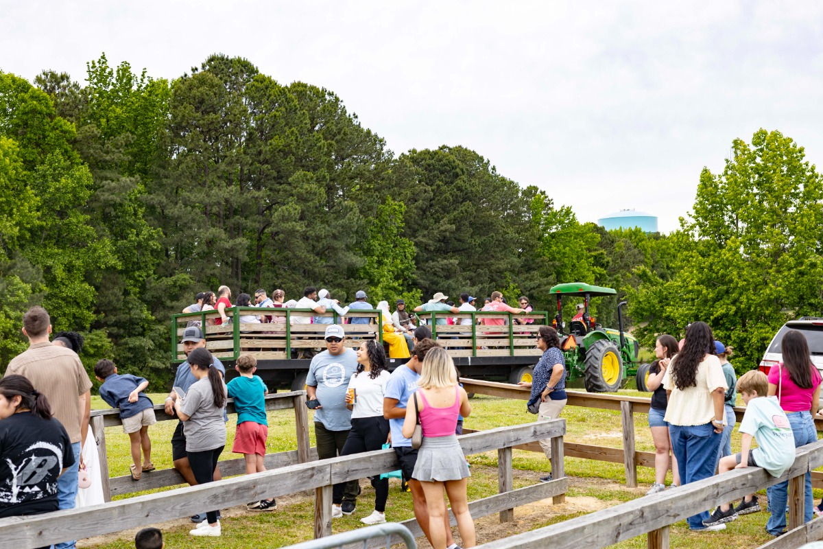 6388957126938133585N0A1701