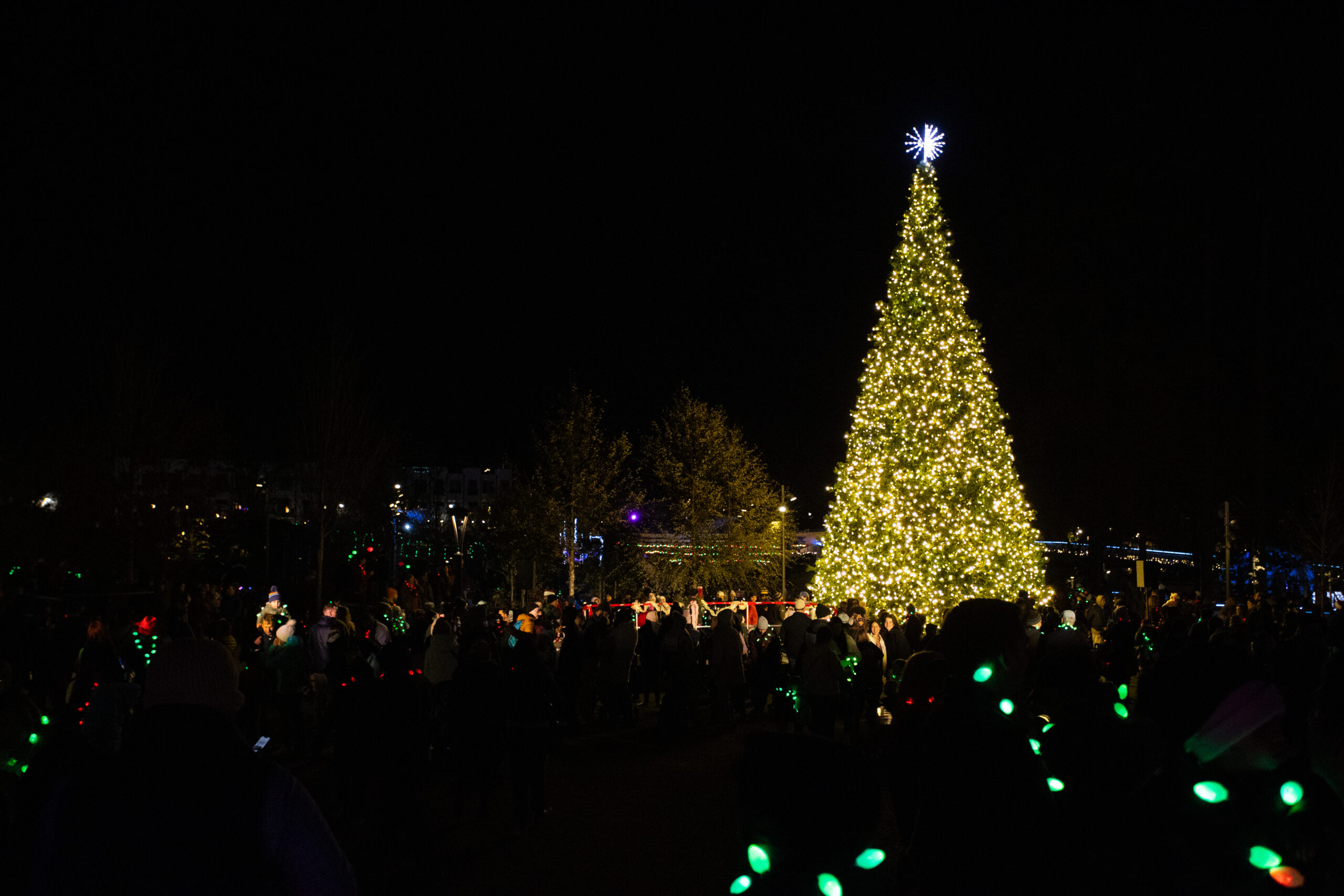 DCP-2024-Tree-Lighting-scaled