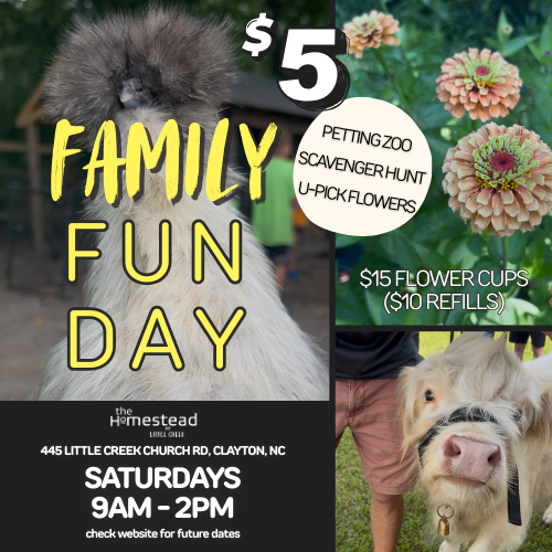 The-Homestead-at-Little-Creek-Family-Fun-Day
