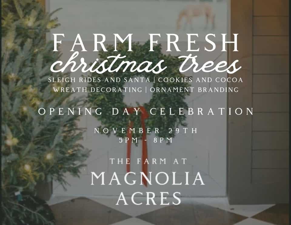 576138784_122186361698385667_1908279838624564293_n