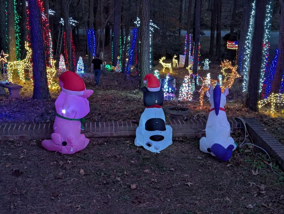 583780629_1153909043565257_780902940157865475_n