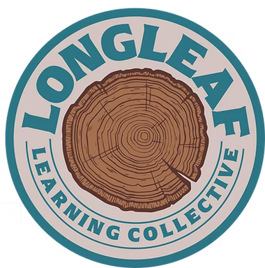 vs_1_mainone_incircle_patch